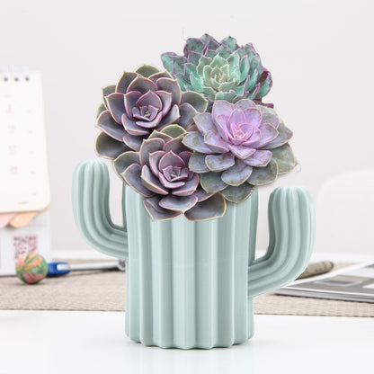 Pastel Cactus Pencil Holder