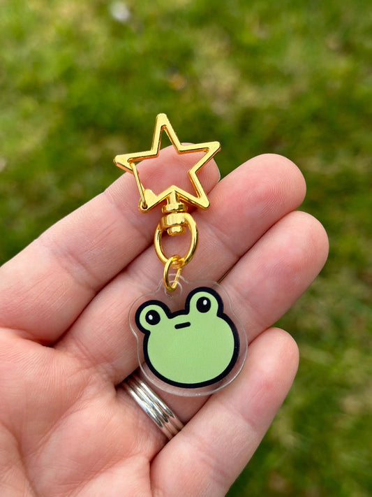 a person holding a frog keychain with a star on it